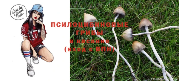 spice Балахна