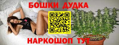 дмт Будённовск