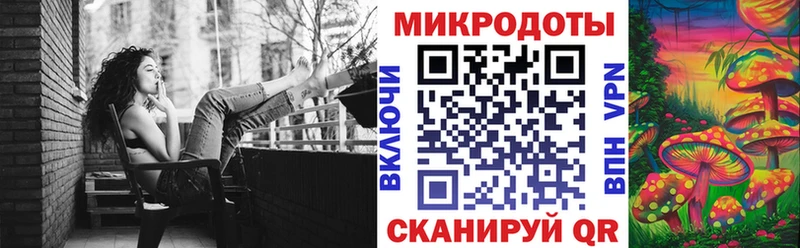 блэк спрут онион Кировск Псилоцибиновые грибы Psilocybe