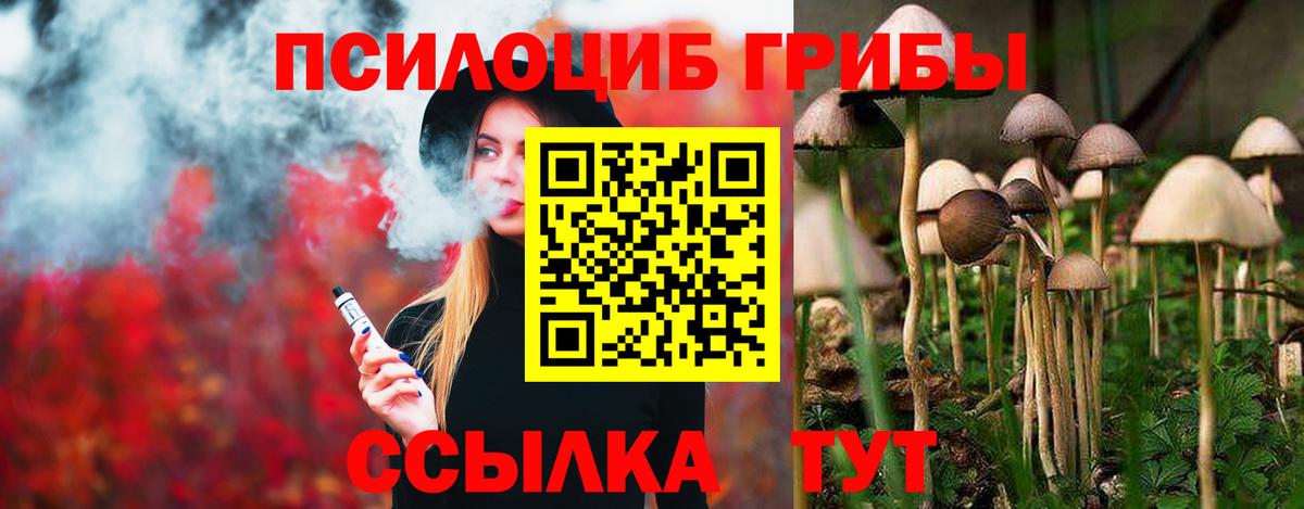 Галлюциногенные грибы Psilocybine cubensis Кировск